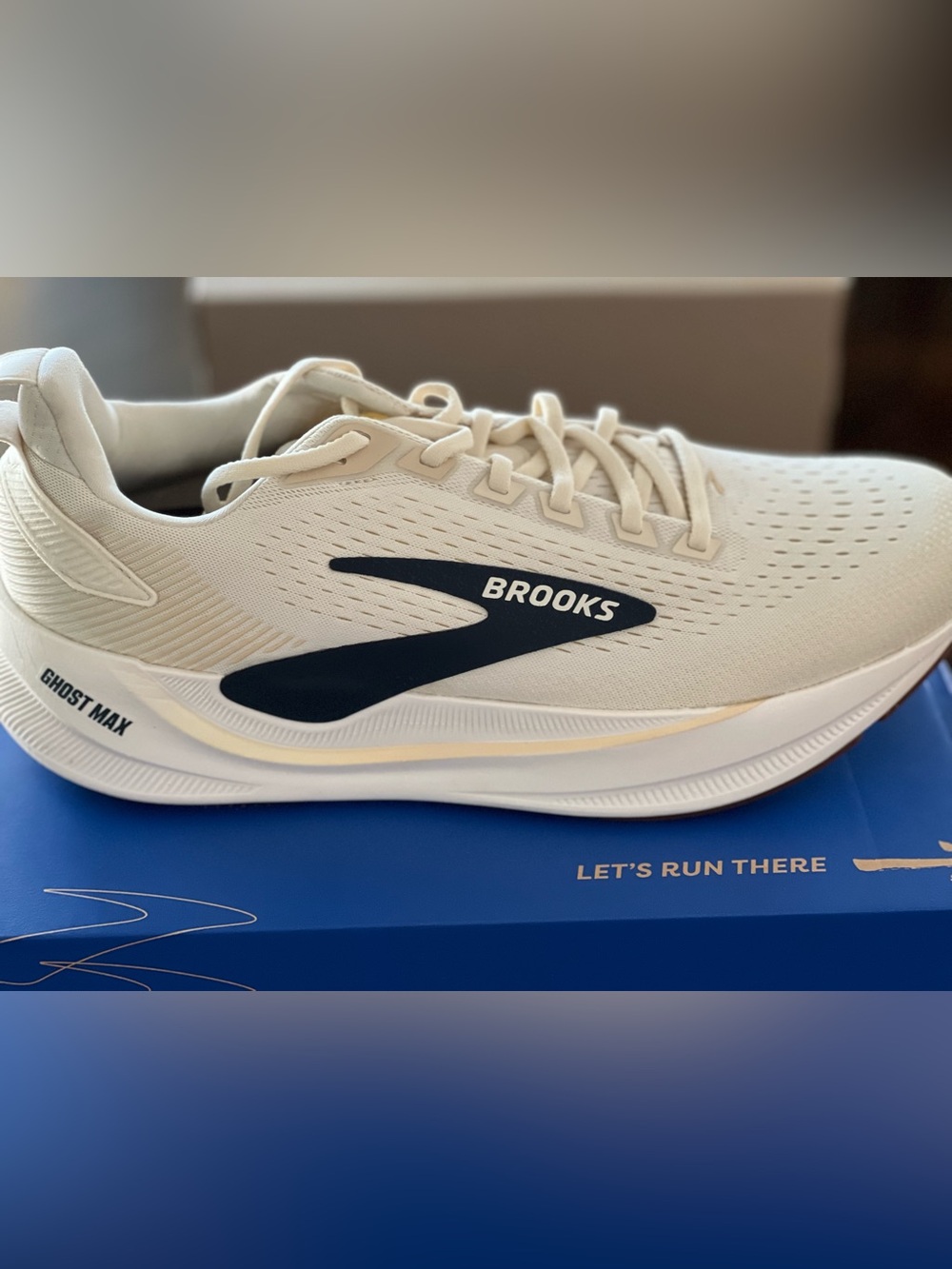 Men's Running Shoes in Arctic Wolf & black- Size 12